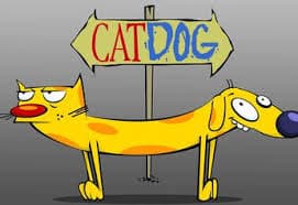 /dibujos/catdog.jpeg