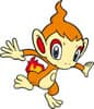 /pokemon/tn_390Chimchar.jpg