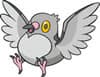 /pokemon/tn_519_Pidove.jpg