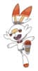 /pokemon/tn_scorbunny.jpg