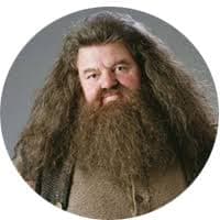 /series/hagrid.jpeg